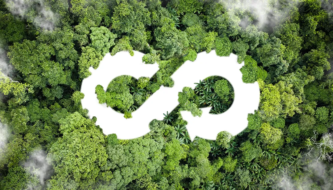 Aerial forest with an infinity recycling symbol